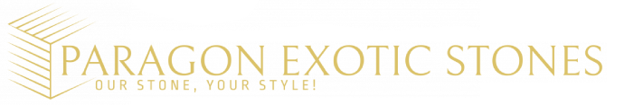 paragon logo