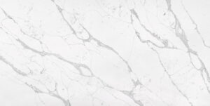 Michelangelo Quartz