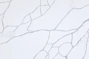 calacatta laza grey slab 500x500 1