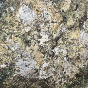 Amarelo Bacurra Granite