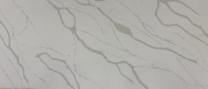 venazzo e1769611274149